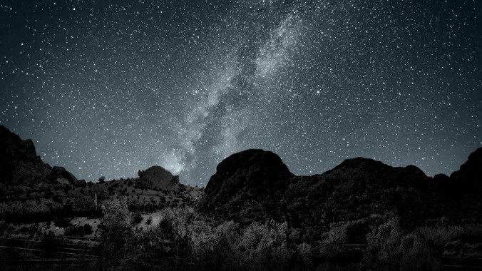 阅文与掌阅的真假繁华